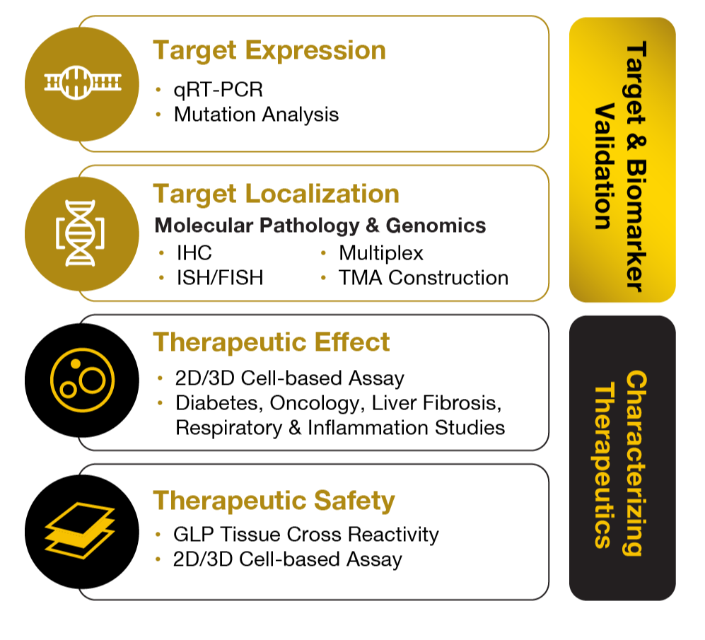 validation de l'objectif vert-1